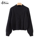 Artsnie Knitted Floral Winter Casual Pullovers Women Turtleneck Lantern Sleeve Pull Femme Tricot Autumn 2018 Sweaters Jumper