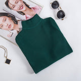 Women Pullover Sweater 2019 Winter Autumn Turtleneck Sweater Women Christmas Sweater Knitted Women Sweater Pull Femme Jumper