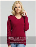 JVEII Women Sweater Knitted Female Long Sleeve V-neck Cashmere Sweater And Pullover Female Autumn Winter Slim Jumpers Casual
